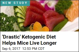 Ketogenic Diets Help Mice Live Longer, but Why?
