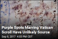 Purple Spots Marring Vatican Scroll Have Unlikely Source