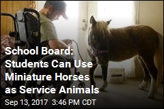 School Board: Students Can Use Mini Horses as Service Animals