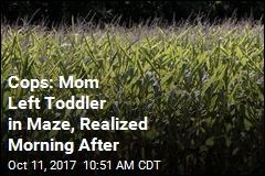 Day After Visiting Maze, Mom Realizes 3-Year-Old Is Lost