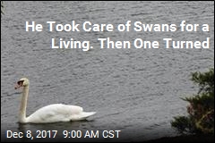 Woman Sues After Swan Attack Led to Husband&#39;s Death