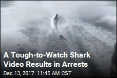 3 Face Felony Charges Over Brutal Shark Video