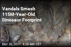 Vandals Smash 115M-Year-Old Dinosaur Footprint