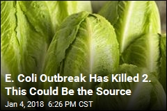 Possible Source of Deadly E. Coli Outbreak: Romaine Lettuce