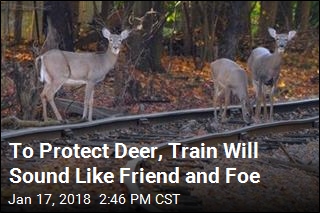 To Protect Deer, Train Barks Like a Dog