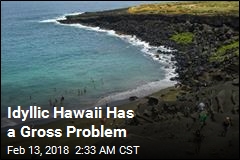 Idyllic Hawaii Has a Gross Problem