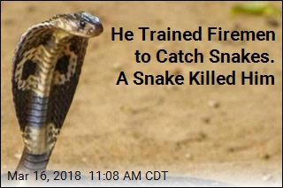 &#39;Snake Whisperer&#39; Dies After Cobra Bite
