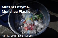 Mutant Enzyme Munches Plastic