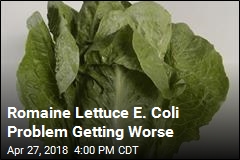 Romaine Lettuce E. Coli Problem Getting Worse