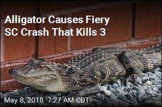 Alligator Causes Fiery SC Crash That Kills 3