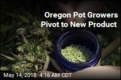 Marijuana Growers Diversify Amid Oregon Glut