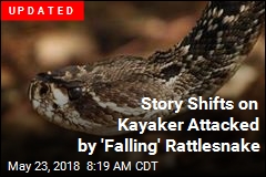 Rattlesnake Falls Out of Tree, Bites Kayaker