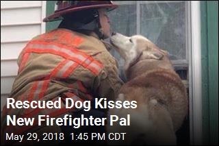Rescued Dog Kisses New Firefighter Pal