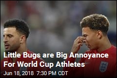Swarms of Pesky Bugs Irk World Cup Athletes