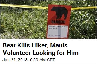 Bear Kills Hiker, Mauls Volunteer Looking for Him