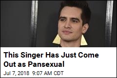 Panic! At The Disco Singer Comes Out as Pansexual