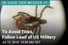 To Avoid Ticks, Follow Lead of US Military