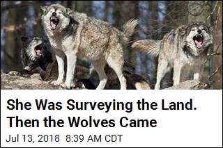 Terrifying 911 Call: I&#39;m in a Tree Surrounded by Wolves