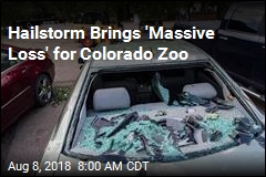 Hailstorm Brings &#39;Massive Loss&#39; for Colorado Zoo