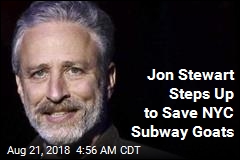Jon Stewart Rescues Goats Found on Subway Tracks
