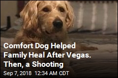 Family That Survived Vegas Shooting Says Comfort Dog Was Shot