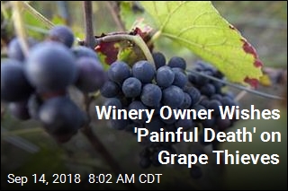 Winery Owner Wishes &#39;Painful Death&#39; on Grape Thieves