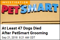 At Least 47 Dogs Died After PetSmart Grooming
