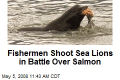 Fishermen Shoot Sea Lions in Battle Over Salmon