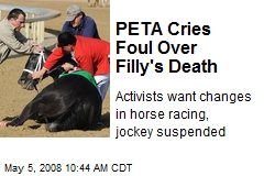 PETA Cries Foul Over Filly's Death