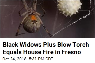 Fighting Spiders With Fire Doesn&#39;t End Well in Fresno