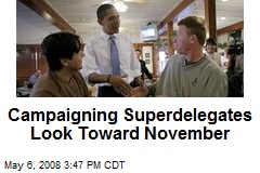 Campaigning Superdelegates Look Toward November