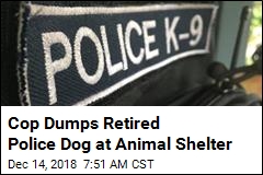 k9 bestiality anal
