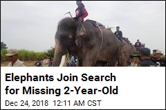 Elephants Join Search for Missing 2-Year-Old