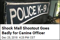 &#39;He&#39;s a Good Boy&#39;: K-9 Mourned After Mall Shootout