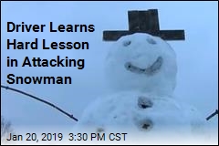 Driver Attacks Snowman Built on a Tree Stump