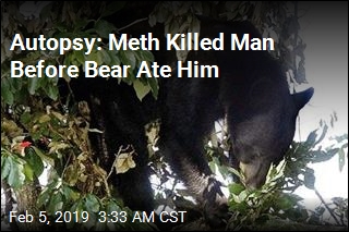 Meth Overdose, Not Bear Killed Tennessee Man
