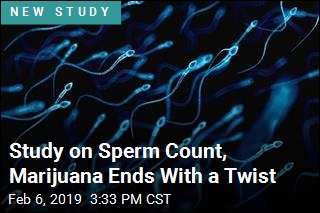 Marijuana Is Bad for Sperm, Right? Maybe Not