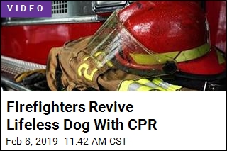 Firefighters Revive Lifeless Dog With CPR