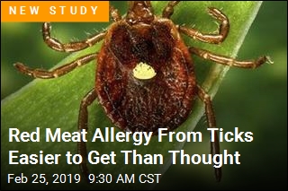 Risk of Bizarre Tick Allergy Greater Than Expected