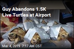 1.5K Turtles Seized at Airport