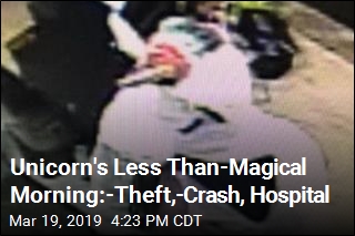 Unicorn&#39;s Less Than Magical Morning: Theft, Crash, Hospital
