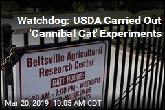 Watchdog: USDA Carried Out &#39;Cannibal Cat&#39; Experiments