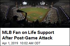 MLB Fan on Life Support After Post-Game Attack