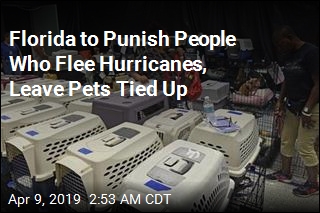 Florida Bill Would Ban Abandoning Dogs During Hurricanes
