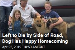 2 Years After Puppy Went Missing, a Homecoming