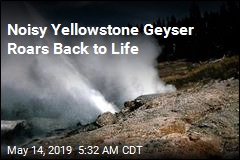 Noisy Yellowstone Geyser Roars Back to Life