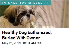 Healthy Dog Euthanized, Buried With Owner