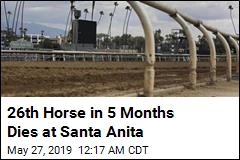 3rd Horse in 9 Days Dies at Troubled California Track