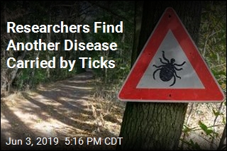 Researchers Find Another Disease Carried by Ticks