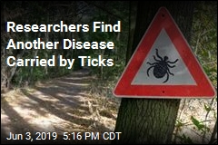Researchers Find Another Disease Carried by Ticks